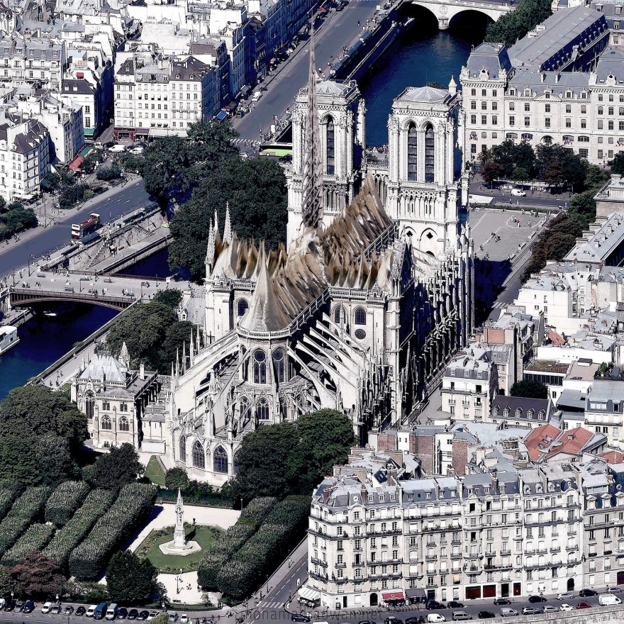 notredame-small (4)